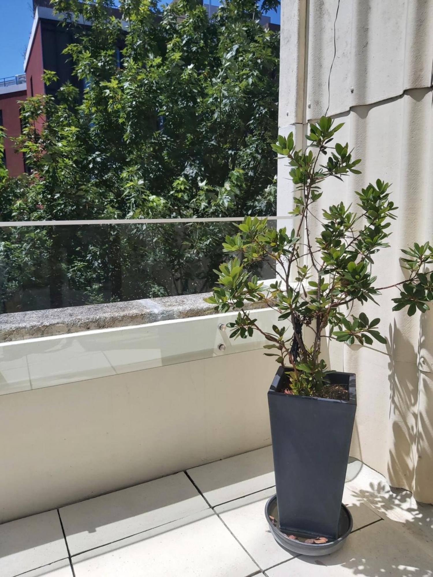 Porto Terrace Apartment Luaran gambar